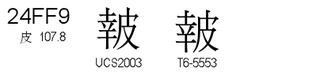 U+24FF9
